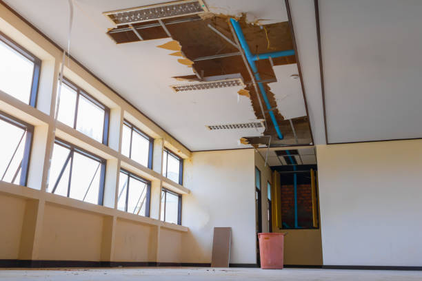 Best Water damage restoration services  in Cvallis, OR