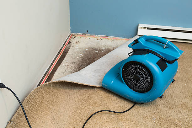 Best Flooded house restoration  in Cvallis, OR